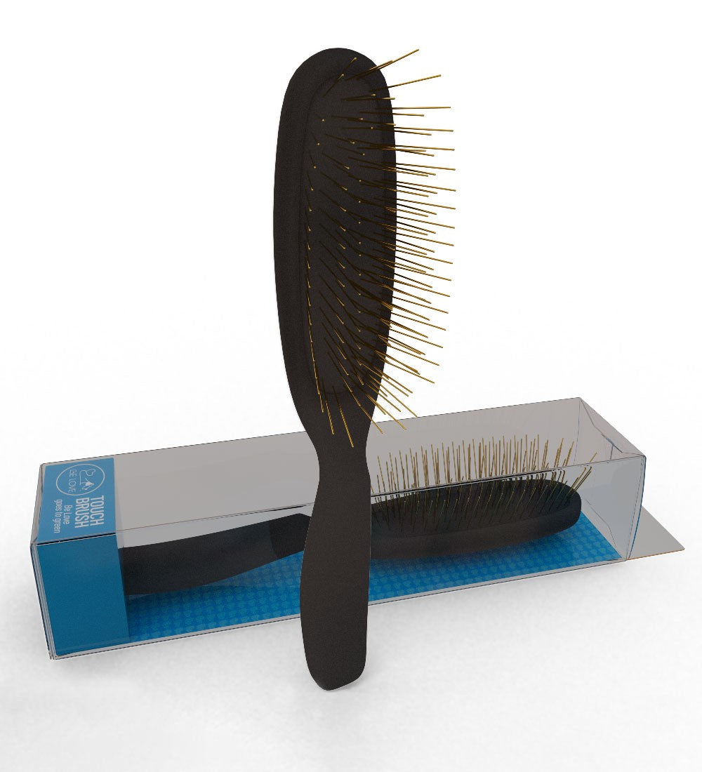 TOUCH BRUSH